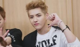 娱乐圈吃瓜名单,揭秘明星背后的秘密与八卦