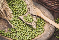 立夏吃瓜壁纸,探寻传统美食文化中的立夏吃瓜习俗