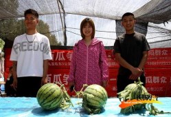 吃瓜组比赛,瓜界风云再起，谁将笑傲江湖？