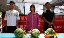 吃瓜组比赛,瓜界风云再起，谁将笑傲江湖？