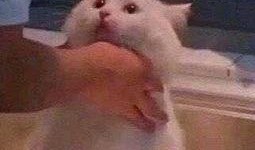 泡泡吃瓜朝阳群众