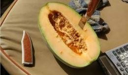 可以吃的瓜名称,盘点那些美味可口的瓜类美食