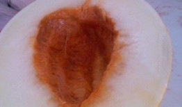 减肥只吃伊丽莎白瓜,一瓜当道，轻松瘦身