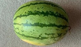 成都世界线吃瓜,吃瓜群众的美食探秘之旅