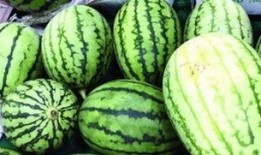 吃瓜围观事例,揭秘娱乐圈幕后故事