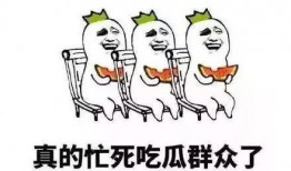 抢瓜论吃,揭秘瓜市中的社交经济学现象