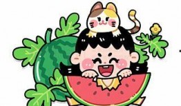 吃瓜设计图动漫,动漫图鉴里的趣味生活
