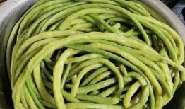 吃蛇瓜怎么保存冬天吃,美味延续，尽享冬日佳肴