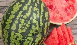 吃瓜的大瓜,吃瓜群众眼中的大瓜风云录